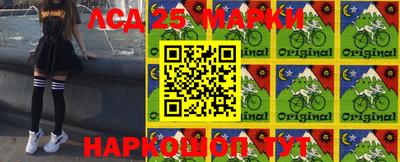 прущие грибы Сланцы