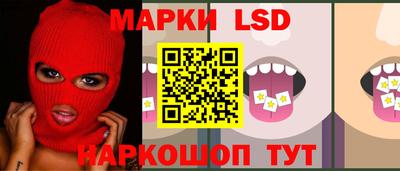 прущие грибы Сланцы