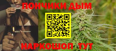 прущие грибы Сланцы
